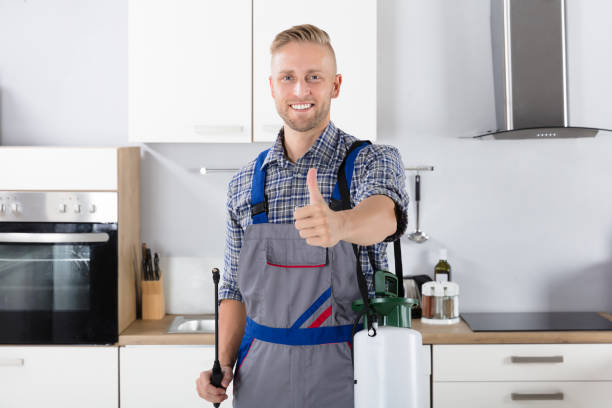 Pest Free Home Transformation